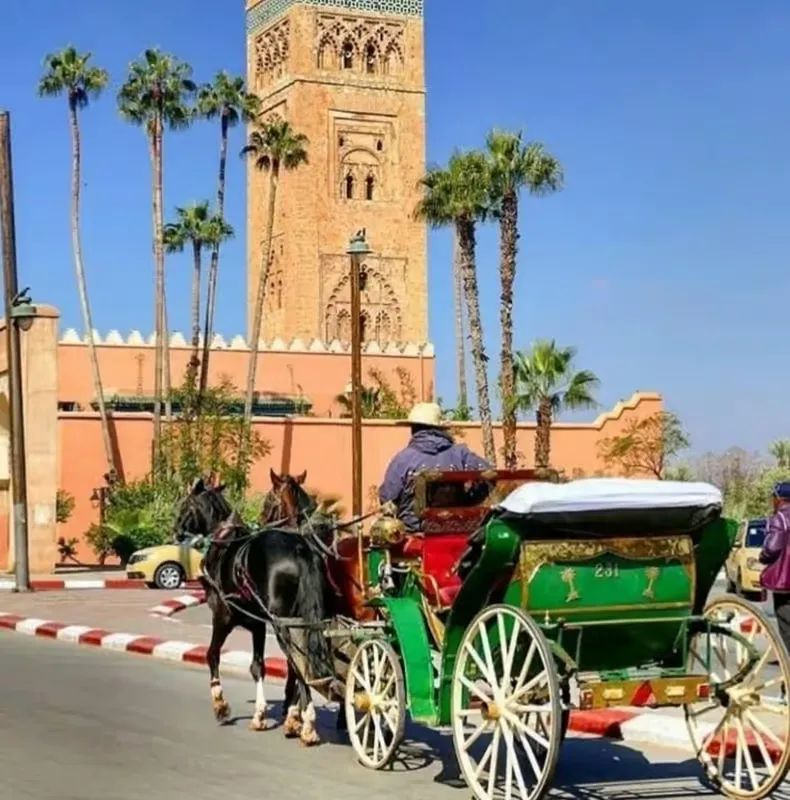 Scenic horse carriage ride through Marrakech palm gardens