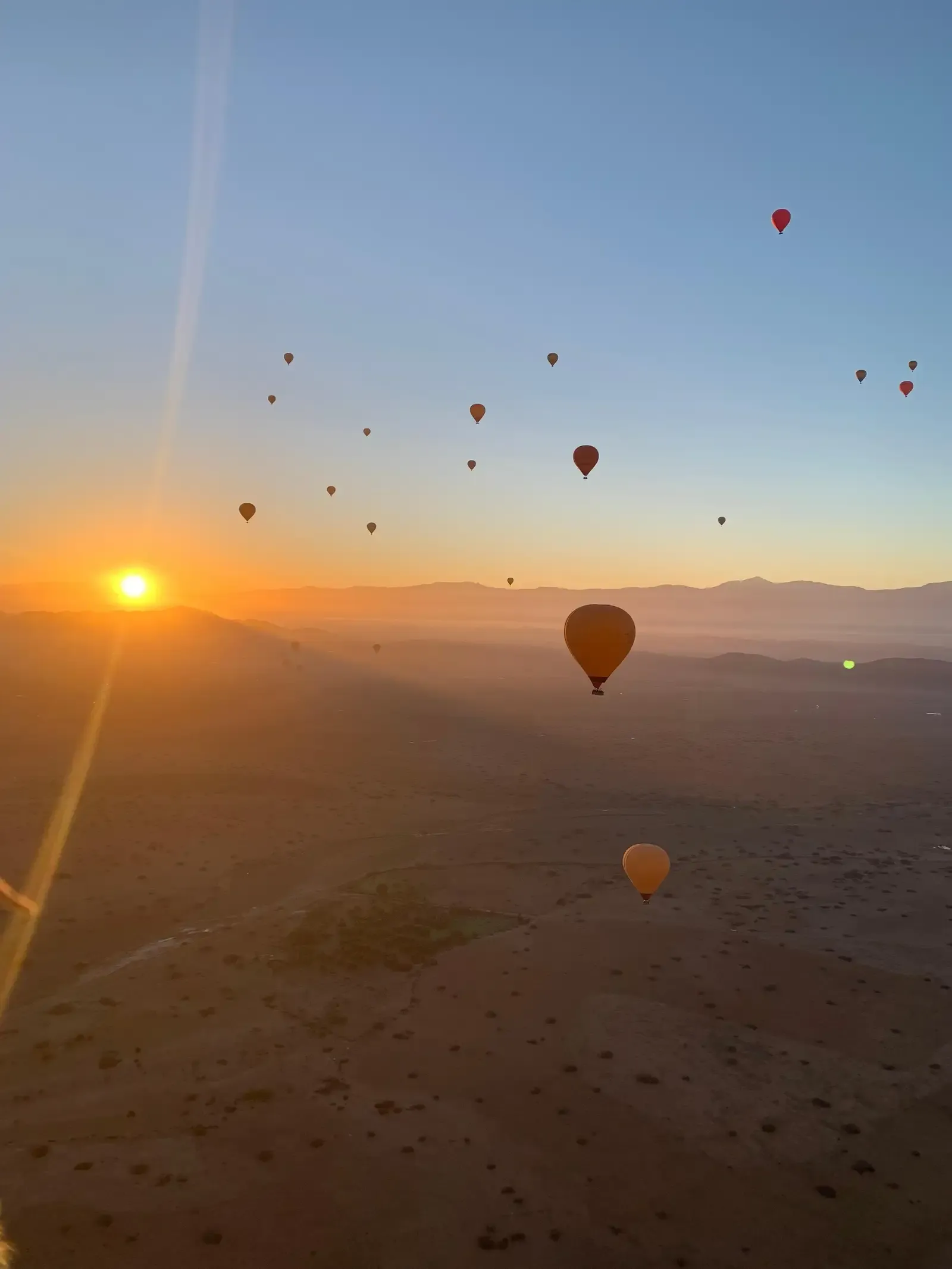 Hot air balloon floating over Marrakech palm groves at sunrise
